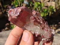 Natural Red Hematoid Quartz Specimens x 12 From Karoi, Zimbabwe