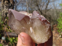 Natural Red Hematoid Quartz Specimens x 12 From Karoi, Zimbabwe