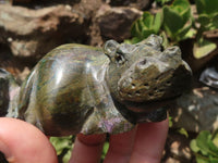 Polished Green Verdite Hippo Carvings  x 3 From Zimbabwe - TopRock