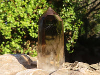 Polished  Wispy Phantom Smokey Quartz Points  x 12 From Madagascar