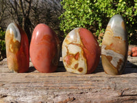 Polished Polychrome Jasper Standing Free Forms  x 4 From Madagascar