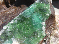 Natural Rare Ball Malachite On Drusi Quartz & Dolomite Matrix  x 1 From Kambove, Congo - Toprock Gemstones and Minerals 