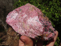 Natural Rough Red Rhodonite Specimens x 3 From Zimbabwe