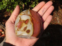 Polished Polychrome Jasper Standing Free Forms  x 4 From Madagascar