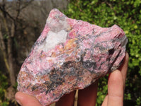 Natural Rough Red Rhodonite Specimens x 3 From Zimbabwe