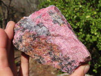 Natural Rough Red Rhodonite Specimens x 3 From Zimbabwe