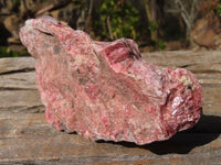 Natural Rough Red Rhodonite Specimens x 3 From Zimbabwe