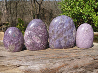 Polished Purple Lepidolite Standing Free Forms  x 4 From Madagascar