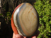 Polished Polychrome Jasper Standing Free Forms  x 4 From Madagascar