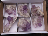 Natural Jacaranda Amethyst Crystal Specimens  x 6 From Zambia - Toprock Gemstones and Minerals 