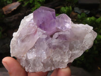 Natural Jacaranda Amethyst Crystal Specimens  x 6 From Zambia - Toprock Gemstones and Minerals 