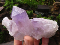 Natural Jacaranda Amethyst Crystal Specimens  x 6 From Zambia - Toprock Gemstones and Minerals 