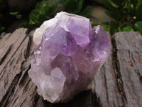 Natural Jacaranda Amethyst Crystal Specimens  x 6 From Zambia - Toprock Gemstones and Minerals 