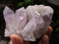 Natural Jacaranda Amethyst Crystal Specimens  x 6 From Zambia - Toprock Gemstones and Minerals 