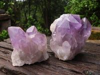 Natural Jacaranda Amethyst Crystal Specimens  x 6 From Zambia - Toprock Gemstones and Minerals 