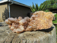 Natural Giant Phantom Hematoid Karoi Quartz Cluster x 1 From Karoi, Zimbabwe