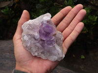 Natural Jacaranda Amethyst Crystal Specimens  x 6 From Zambia - Toprock Gemstones and Minerals 