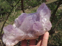 Natural Small Stunning Jacaranda Amethyst Clusters  x 2 From Mumbwa, Zambia - TopRock