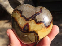 Polished Septaria Hearts x 6 From Mahajanga, Madagascar