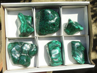 Polished Malachite Free Forms With Stunning Flower & Banding Patterns x 6 From Congo - TopRock