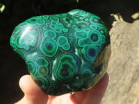 Polished Malachite Free Forms With Stunning Flower & Banding Patterns x 6 From Congo - TopRock