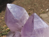 Natural Small Stunning Jacaranda Amethyst Clusters  x 2 From Mumbwa, Zambia - TopRock