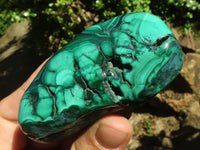 Polished Malachite Free Forms With Stunning Flower & Banding Patterns x 6 From Congo - TopRock