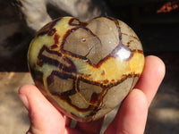 Polished Septaria Hearts x 6 From Mahajanga, Madagascar