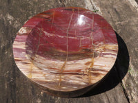 Polished Petrified Red Podocarpus Wood Dish  x 1 From Mahajanga, Madagascar - TopRock