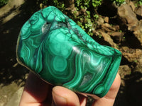 Polished Malachite Free Forms With Stunning Flower & Banding Patterns x 6 From Congo - TopRock