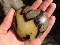 Polished Septaria Hearts x 6 From Mahajanga, Madagascar