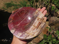 Polished Petrified Red Podocarpus Wood Dish  x 1 From Mahajanga, Madagascar - TopRock