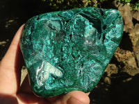 Polished Malachite Free Forms With Stunning Flower & Banding Patterns x 6 From Congo - TopRock