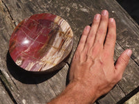 Polished Petrified Red Podocarpus Wood Dish  x 1 From Mahajanga, Madagascar - TopRock