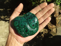 Polished Malachite Free Forms With Stunning Flower & Banding Patterns x 6 From Congo - TopRock