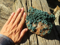 Natural Rare Ball Malachite On Drusy Quartz & Dolomite Matrix  x 1 From Congo - Toprock Gemstones and Minerals 