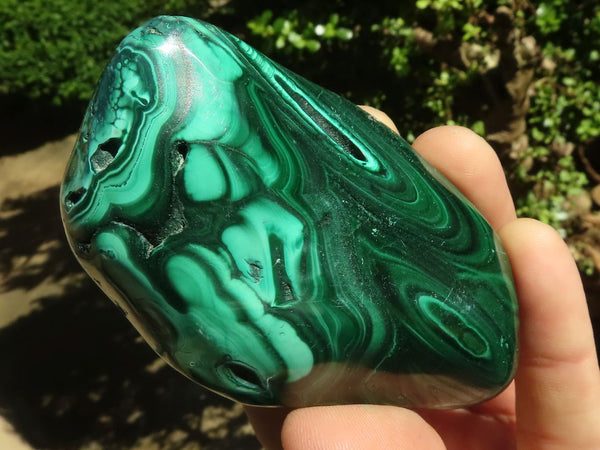 Polished Malachite Free Forms With Stunning Flower & Banding Patterns x 6 From Congo - TopRock