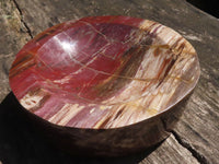 Polished Petrified Red Podocarpus Wood Dish  x 1 From Mahajanga, Madagascar - TopRock