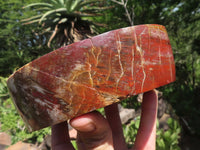 Polished Petrified Red Podocarpus Wood Dish  x 1 From Mahajanga, Madagascar - TopRock