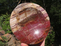 Polished Petrified Red Podocarpus Wood Dish  x 1 From Mahajanga, Madagascar - TopRock