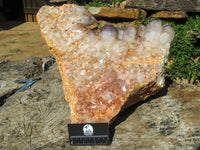 Natural Giant Phantom Hematoid Karoi Quartz Cluster x 1 From Karoi, Zimbabwe