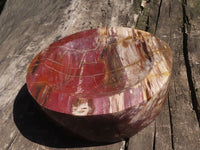 Polished Petrified Red Podocarpus Wood Dish  x 1 From Mahajanga, Madagascar - TopRock