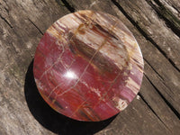 Polished Petrified Red Podocarpus Wood Dish  x 1 From Mahajanga, Madagascar - TopRock