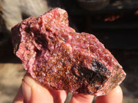 Natural Rough Red Rhodonite Specimens  x 12 From Zimbabwe