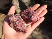 Natural Rough Red Rhodonite Specimens  x 12 From Zimbabwe