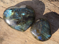 Polished  Puffy Labradorite Gemstone Hearts  x 2 From Tulear, Madagascar