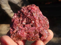 Natural Rough Red Rhodonite Specimens  x 12 From Zimbabwe