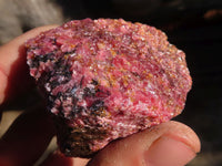 Natural Rough Red Rhodonite Specimens  x 12 From Zimbabwe