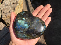 Polished  Puffy Labradorite Gemstone Hearts  x 2 From Tulear, Madagascar