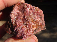 Natural Rough Red Rhodonite Specimens  x 12 From Zimbabwe